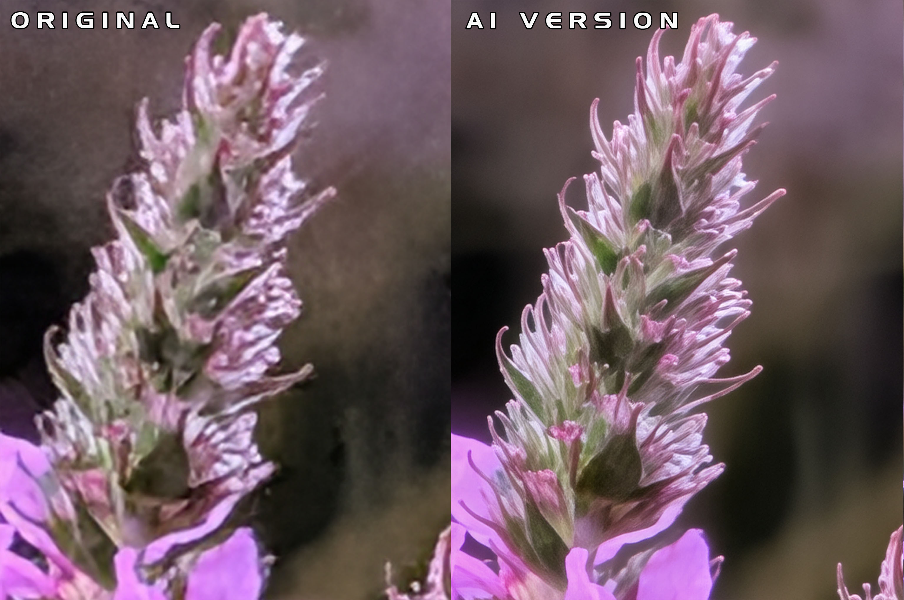 Super Res Zoom sammenligning 2.jpg